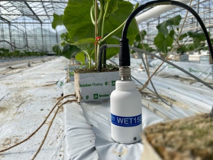 Czujnik fertygacji WEENAT - kontrola nawożenia i wilgotności