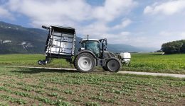 Ecorobotix_ARA_rapeseed_05_drone Ecorobotix_ARA_rapeseed_05_drone