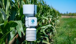 Weenat stacje pogodowe KMK Agro