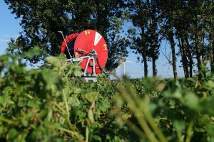 Deszczownie RM - niezawodne nawadnianie na nowy sezon!