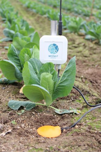 KMK Agro WEENAT Stacje pogodowe