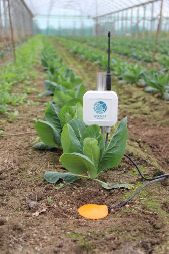 KMK Agro WEENAT Stacje pogodowe