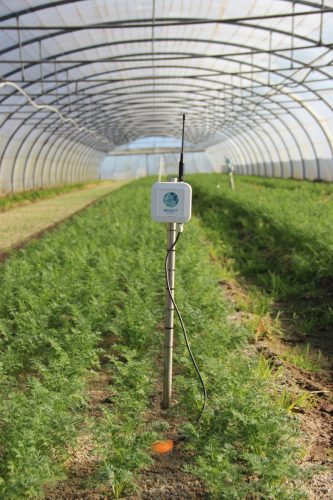 KMK Agro WEENAT Stacje pogodowe