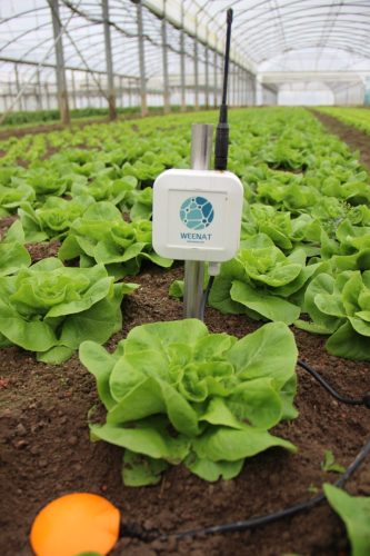 KMK Agro WEENAT Stacje pogodowe