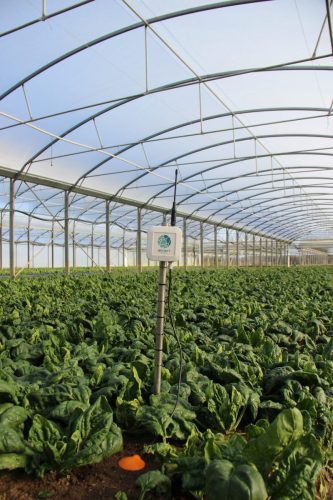 KMK Agro WEENAT Stacje pogodowe