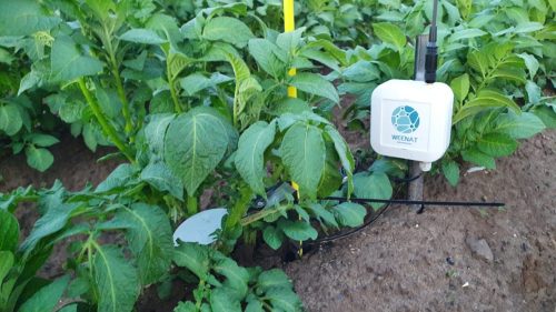 KMK Agro WEENAT Stacje pogodowe