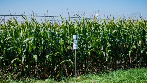 KMK Agro WEENAT Stacje pogodowe