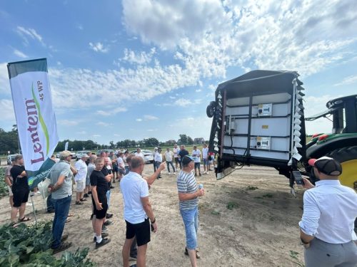 Dzień Ziemniaka 30.06.2026