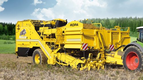 ropa keiler 2 wallpaper 2560x1440px